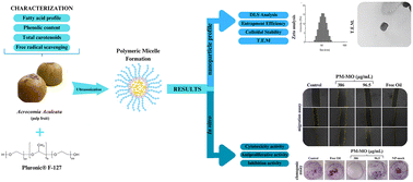 Graphical abstract: Macauba oil carried by polymeric micelles reduces migration and proliferation of triple-negative breast cancer cells