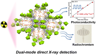 Graphical abstract: Radiochromic semiconductive MOFs with high sensitivity and fast photochromic responses for dual-mode X-ray direct detection