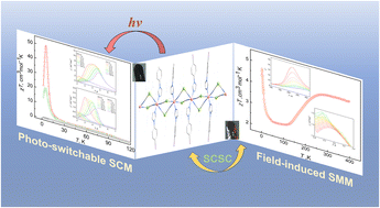 Graphical abstract: Reversible on–off switching of a single-chain magnet via single-crystal-to-single-crystal transition and light-induced metal-to-metal electron transfer