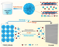 Graphical abstract: Rare earth pillars for stable layered birnessite cathodes propelling aqueous zinc-ion batteries with ultra-long cyclability