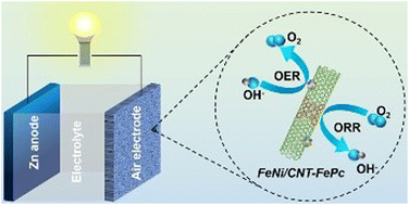 Graphical abstract: Carbon-nanotube wall nanoengineering strategy to stabilize FeNi nanoparticles and Fe single atoms for rechargeable Zn–air batteries