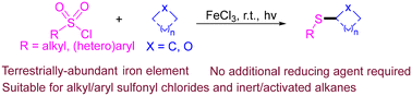 Graphical abstract: Iron-catalyzed thiolation of C(sp3)–H with sulfonyl chlorides via photoinduced ligand-to-metal charge transfer