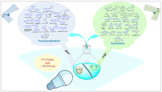 Graphical abstract: UV/visible light-promoted external photocatalyst-free transformations: A Decade's Journey of N-heterocycles and their functionalisation