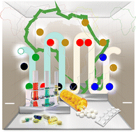 Graphical abstract: Towards continuous flow manufacturing of active pharmaceutical ingredients in Africa: a perspective