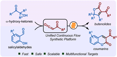 Graphical abstract: Fast and scalable continuous flow synthesis of butenolides and coumarins