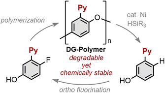 Graphical abstract: Controlled degradation of chemically stable poly(aryl ethers) via directing group-assisted catalysis