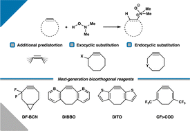 Graphical abstract: Retro-Cope elimination of cyclic alkynes: reactivity trends and rational design of next-generation bioorthogonal reagents