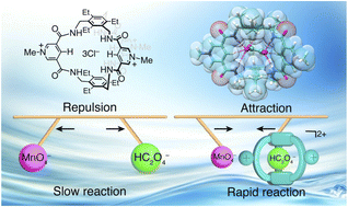Graphical abstract: Charge-assisted hydrogen bonding in a bicyclic amide cage: an effective approach to anion recognition and catalysis in water