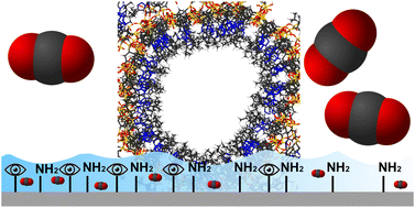 Graphical abstract: Spatial tuning of adsorption enthalpies by exploiting spectator group effects in organosilica carbon capture materials