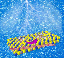 Graphical abstract: Surface defect induced polarization manipulation in Cu2SnS3 for boosting electrochemical CO2 reduction