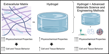 Graphical abstract: Methods to achieve tissue-mimetic physicochemical properties in hydrogels for regenerative medicine and tissue engineering