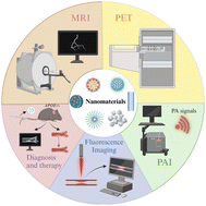 Graphical abstract: A novel method for the diagnosis of atherosclerosis based on nanotechnology