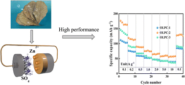 Graphical abstract: Constructing graphitization-graded porous carbon using olive leaves as a carbon source for a high-performance zinc-ion hybrid capacitor