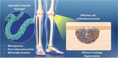 Graphical abstract: From microparticles to bulk hydrogels: emerging granular hydrogels in cartilage tissue engineering