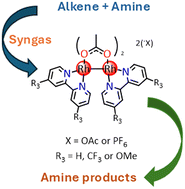 Graphical abstract: Dirhodium(ii,ii) catalyst optimisation for chemoselective hydroaminomethylation: towards efficient amine synthesis