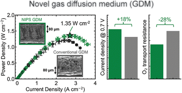 Graphical abstract: Designer diffusion media microstructures enhance polymer electrolyte fuel cell performance