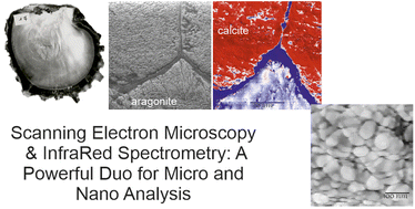 Graphical abstract: Structure versus composition: a comparative study across scales