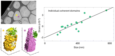 Graphical abstract: Crystallisation in biomineral mollusc shell studied by 3D Bragg ptychography