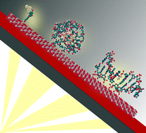 Graphical abstract: Beyond traditional photosensitizers in DSSCs: harnessing the optical properties of noble metal nanoclusters