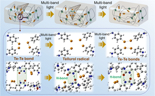 Graphical abstract: Visible light-initiated rapid self-healing of PDMS elastomers engineered through dual dynamic bonding networks for smart sensors