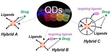 Graphical abstract: Toxic element-free quantum dots as nanocarriers in drug delivery: the role of functional ligands in hybrid systems development