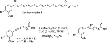 Graphical abstract: Synthetic studies towards xanthomonadin