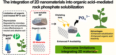 Graphical abstract: Integrating 2D nanomaterials with organic acid–mediated rock phosphate solubilization for enhanced phosphorus availability: a review