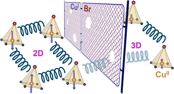 Graphical abstract: A competition between 2D and 3D magnetic orderings in novel mixed valent copper frameworks