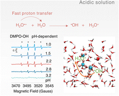 Graphical abstract: Radical-mediated proton transfer enables hydroxyl radical formation in charge-delocalized water