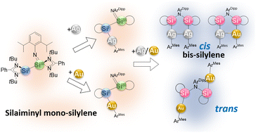 Graphical abstract: On-demand switching from mono-silylene to bis-silylene to access mono-, di- and mixed coinage metal complexes