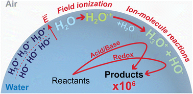 Graphical abstract: Mechanisms of ionization and of chemical reactions in charged microdroplets