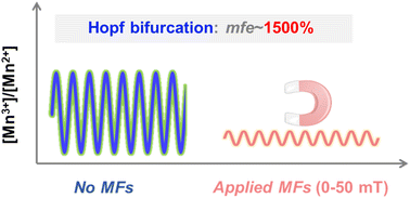 Graphical abstract: Amplification of magnetic field effects via critical dynamics in a nonlinear oscillatory system