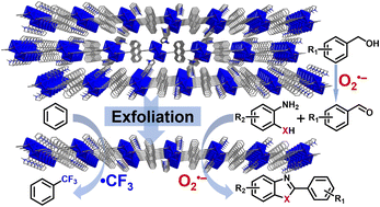 Graphical abstract: Ultrasonic exfoliation of a Cd-based metal–organic framework into ultrathin nanosheets for visible-light-initiated trifluoromethylation and sequential oxidation–cyclisation reactions