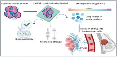 Graphical abstract: Sodium alginate/polyvinylpyrrolidone/lapatinib-loaded Zr–metal organic framework: biocompatibility evaluation and pH-responsive in vitro drug release for oral delivery applications