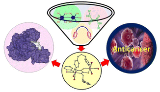 Graphical abstract: Manganese(i) based NN∩SS bis-chelated homo-binuclear metallacycles: synthesis, spectral, crystallographic, anticancer potential and molecular docking studies