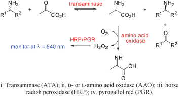 Graphical abstract: A fast and sensitive assay for measuring the activity and enantioselectivity of transaminases