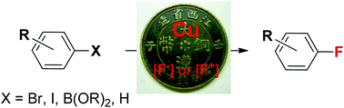 Graphical abstract: Copper-mediated/-catalyzed fluorination reactions: new routes to aryl fluorides