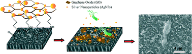 Graphical abstract: Surface modification of thin film composite forward osmosis membrane by silver-decorated graphene-oxide nanosheets