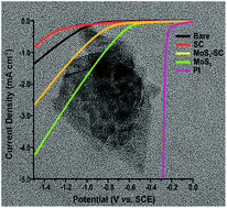 Graphical abstract: Surfactant-exfoliated 2D molybdenum disulphide (2D-MoS2): the role of surfactant upon the hydrogen evolution reaction