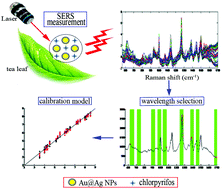 Graphical abstract: Development of a novel wavelength selection method for the trace determination of chlorpyrifos on Au@Ag NPs substrate coupled surface-enhanced Raman spectroscopy