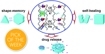 Graphical abstract: Chemical and photochemical DNA “gears” reversibly control stiffness, shape-memory, self-healing and controlled release properties of polyacrylamide hydrogels