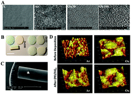 Graphical abstract: Sustained delivery of growth factors with high loading efficiency in a layer by layer assembly