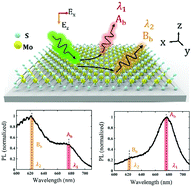 Graphical abstract: Bright excitonic multiplexing mediated by dark exciton transition in two-dimensional TMDCs at room temperature