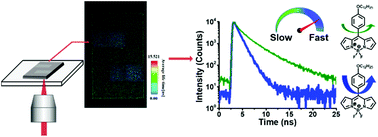 Graphical abstract: Investigation of two-photon polymerized microstructures using fluorescence lifetime measurements