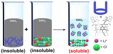 Graphical abstract: Tetraamidoindolyl calix[4]arene as a selective ion pair receptor for LiCl