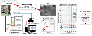 Graphical abstract: Development of a new 3D bioprinted antibiotic delivery system based on a cross-linked gelatin–alginate hydrogel