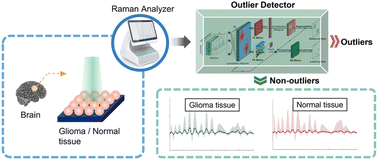 Graphical abstract: An outlier detection algorithm based on segmentation and pruning of competitive network for glioma identification using Raman spectroscopy