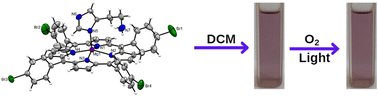 Graphical abstract: Histamine-bound magnesium porphyrins: diverse coordination modes, inhibitory role in photodegradation of chlorophyll a and antioxidant activity