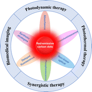 Graphical abstract: Recent advances in red-emissive carbon dots and their biomedical applications