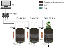 Graphical abstract: Enhanced degradation of ibuprofen in an integrated constructed wetland-microbial fuel cell: treatment efficiency, electrochemical characterization, and microbial community dynamics